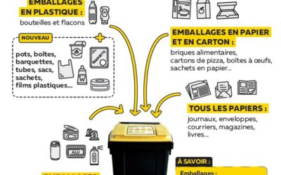 Collecte de nos déchets : les consignes évoluent