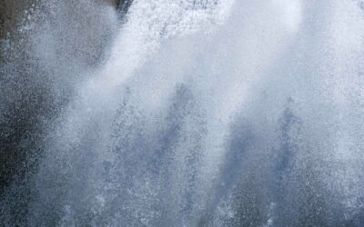 L’abondance ? Précieux Cadeau de la Nature