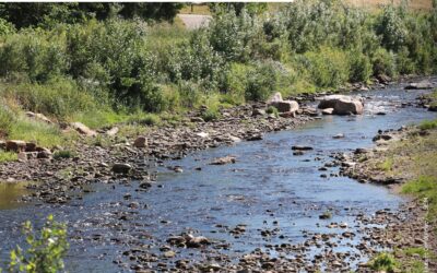 Journal Rivière Gier 2023 & Marathon de la Biodiversité