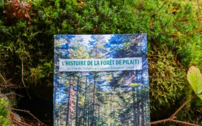 L’HISTOIRE DE LA FORÊT DE PILA(T)
