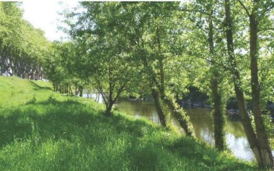 Journal Rivière 2025 – versant Gier