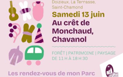 dans la Forêt au Crêt de Monchaud – Chanavol – Doizieux